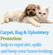 Grapevine Carpet Cleaning