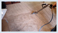 TX Grapevine Carpet Cleaning