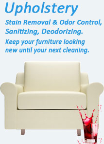 Upholstery Stain Removal